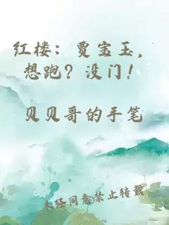 紅樓：賈寶玉，想跑？沒門！